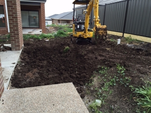 Anima Mia Excavation 3