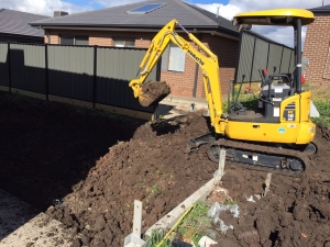 Anima Mia Excavation 2