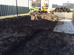 Anima Mia Excavation 1