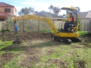 Anima Mia Front Page 2